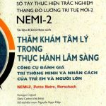 Nemi2 Vietnamienne